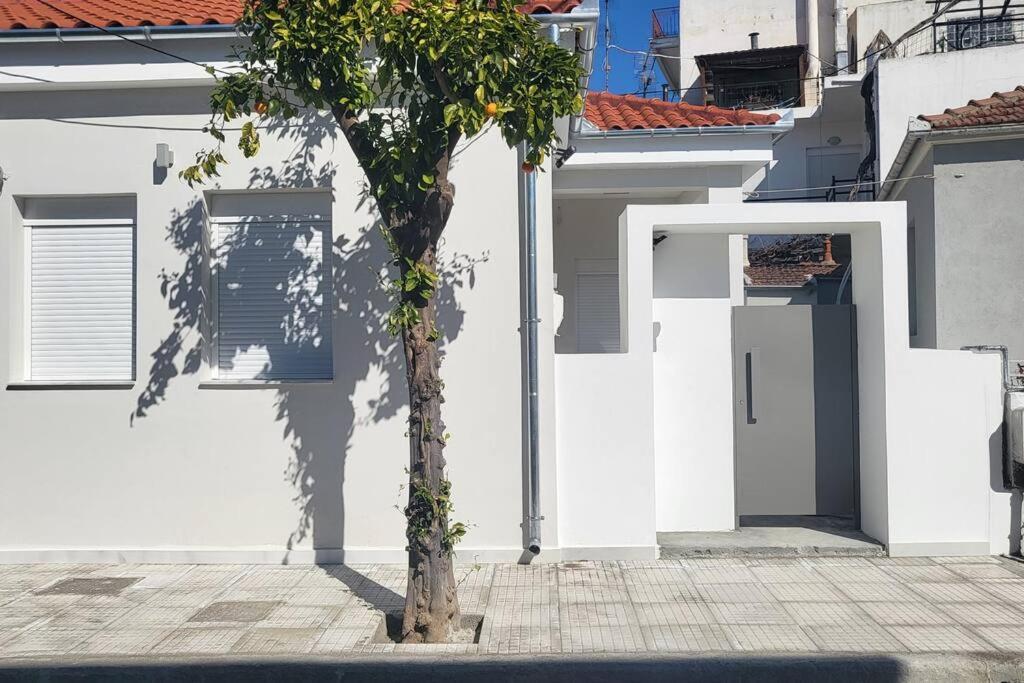 Holiday home φιλόξενο σπίτι στο βόλο